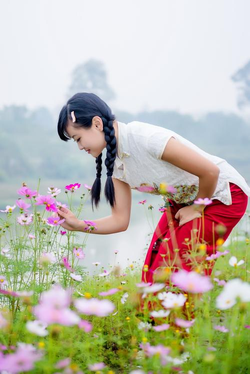 天堂日落在线播放功能展示